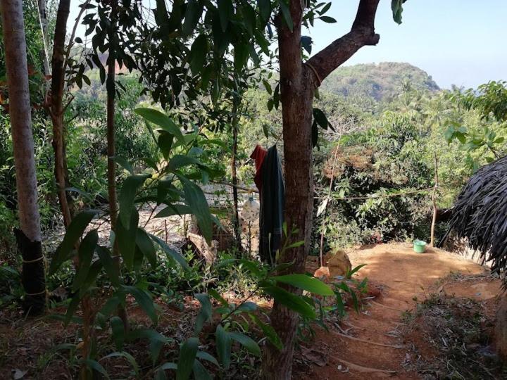 Bindhya Home Stay Gokarna Kudle Beach Esterno foto